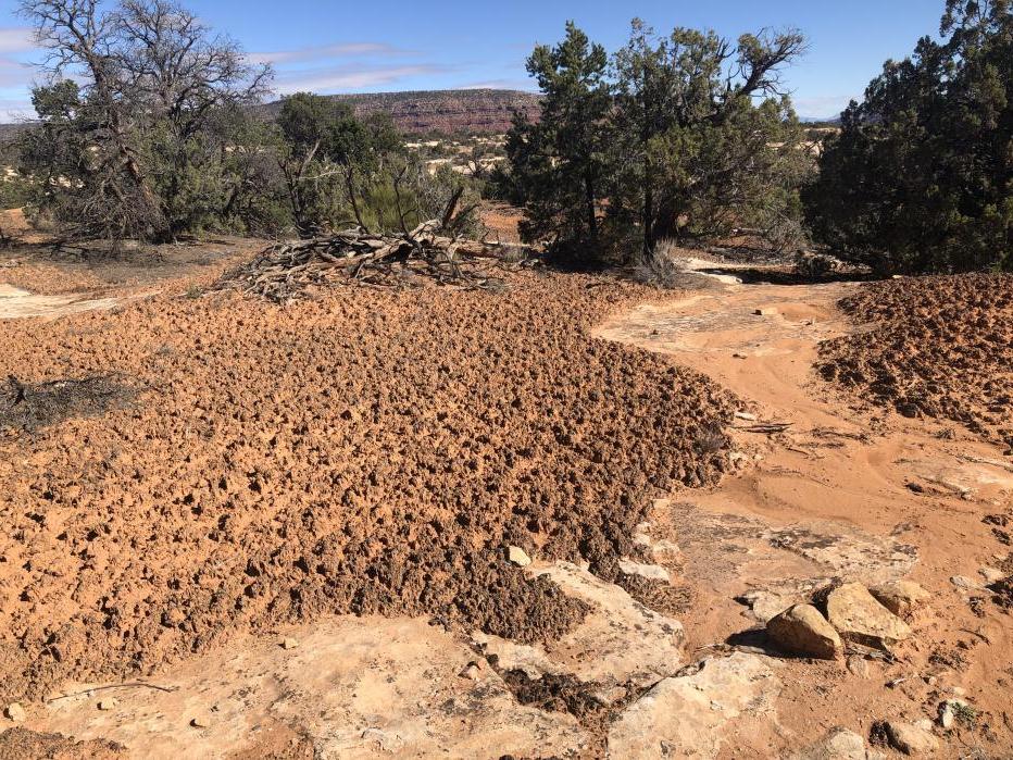 Providing rehabilitation and improvements along the main road of the Natural Bridges National Monument 